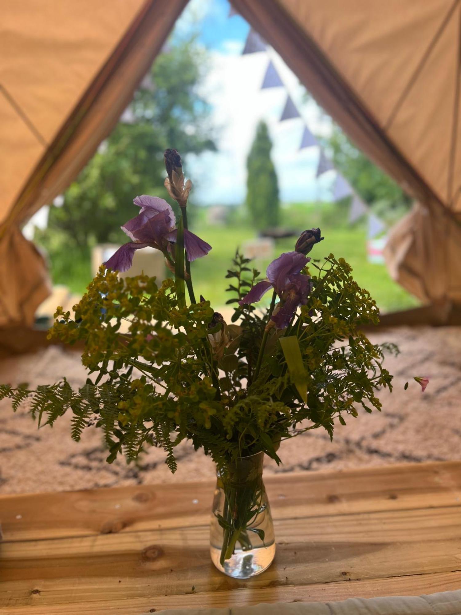 Bluebell Tent At Ballyward Croft Ardkeen Екстер'єр фото